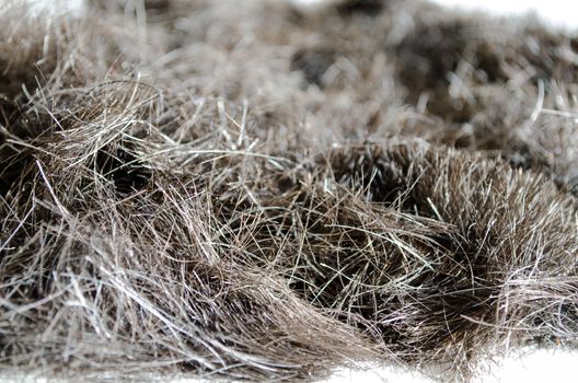 Pile of Cut Hair closeup view