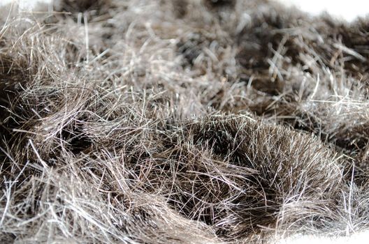 Pile of Cut Hair closeup view