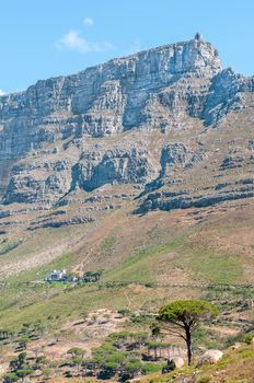 Upper and lower cable stations on Table Mountain, Cape Town. A cable car is visible. The cableway was opened on October 4, 1929
