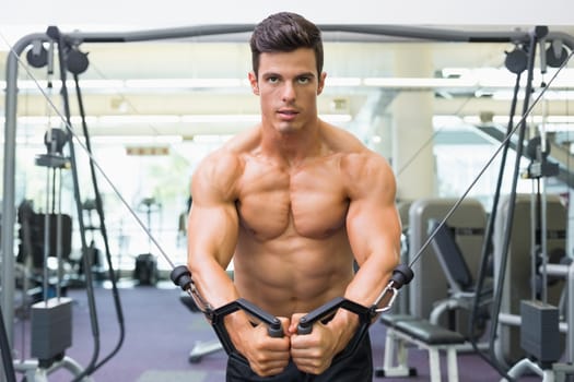 Portrait of a shirtless young muscular man using resistance band in gym