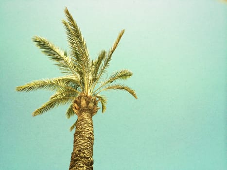 Palm tree against the sky. Retro styled image, paper texture.