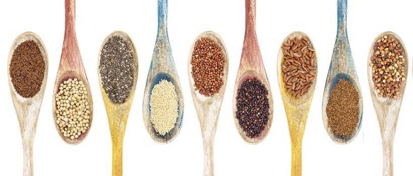 a collection of gluten free grains and seeds on isolated wooden spoons - kaniwa, sorghum, chia, amaranth,red quinoa, black quinoa, brown rice, teff, buckwheat  (from left to right)