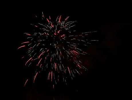 Celebration firework in the black night sky