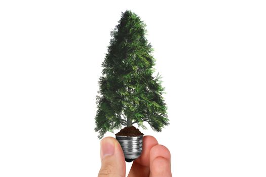 Hand holding light bulb with tree and soil, isolated on white background.