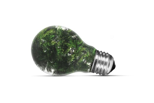 Ecology concept, tree in light bulb, isolated on white background.