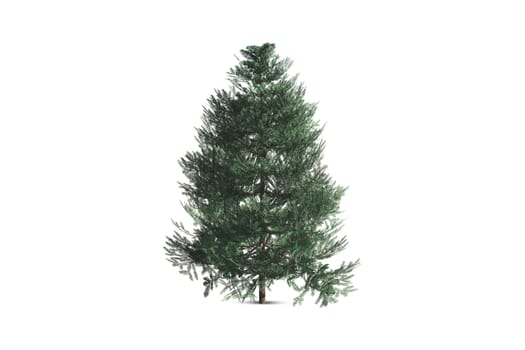 Single tree, isolated on white background.