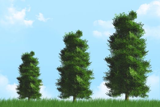 Trees growing in cloudy background.
