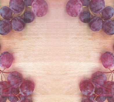 Vintage stylized vine garland, background for your text.