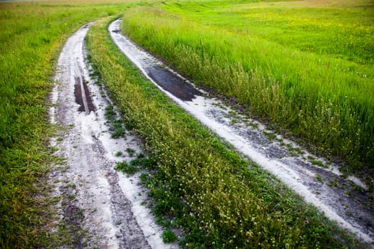 Dirt road in the green summer field.