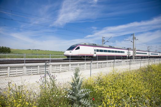 fast speed train over flowers in a landscape from Spain