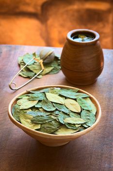 Dried coca leaves in clay bowl with fresh coca tea (mate de coca) in the back, photographed with natural light (Selective Focus, Focus on the middle of the coca leaves)