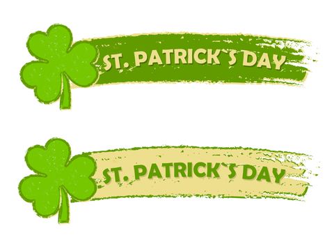 happy St. Patrick's day - text in two green drawn banners with three leaved shamrock symbols, holiday seasonal concept