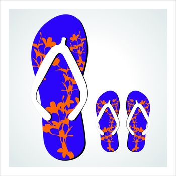 Colorful flip flops set vector illustration