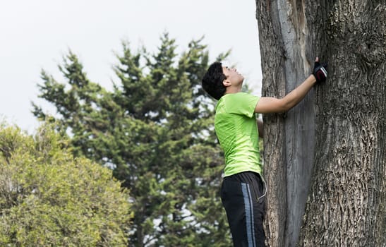 Young man climbing a big tree in a park 