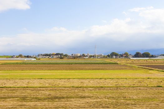 Farmland in Japan