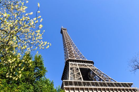 The Eiffel Tower in Paris, France