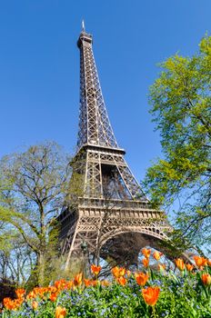 The Eiffel Tower in Paris, France