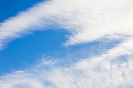 scenic view of the sky with clouds and birds