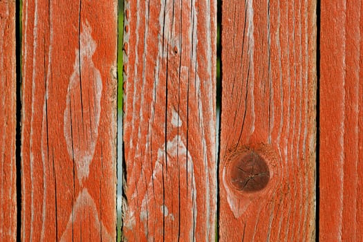 grunge texture of wood board