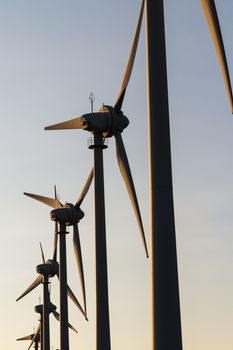 Group of windmills for renewable electric on sunset.