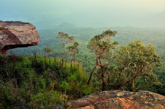 Cliff and forest at sunset time, Thailand