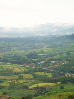 Agricultural areas in the mountains. Zoning, agricultural plantations on forest land from the villagers.