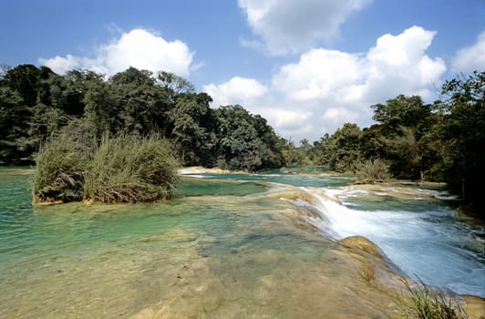 beautiful river with clear green water passing through the forest