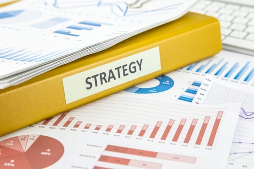 Binder of marketing strategy documents  and graphs analysis from business survey reporting