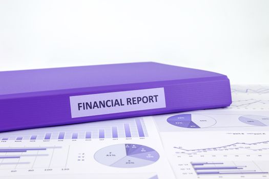 Purple binder of financial report place on graphs analysis of business annual reports