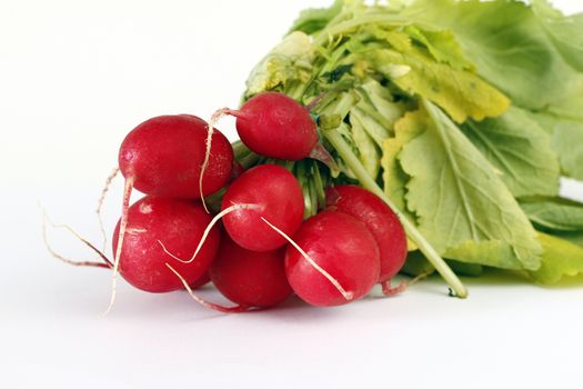 Detail of the bundle of radishes