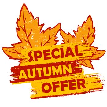 special autumn offer banner - text in orange and brown drawn label with leaf signs, business seasonal shopping concept