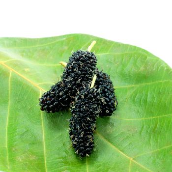 mulberry on a leaf.