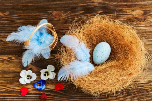 blue egg in a nest with feathers on a wooden background