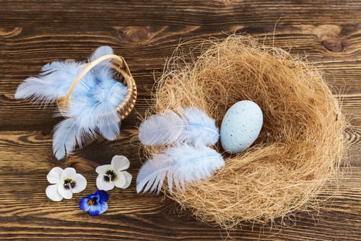 blue egg in a nest with feathers on a wooden background