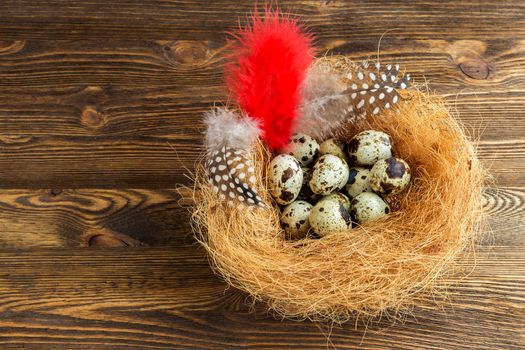 Nest with quail eggs and feathers on the wooden background