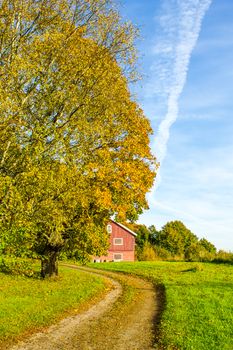 Country road passing autumn colored tree and a red barn