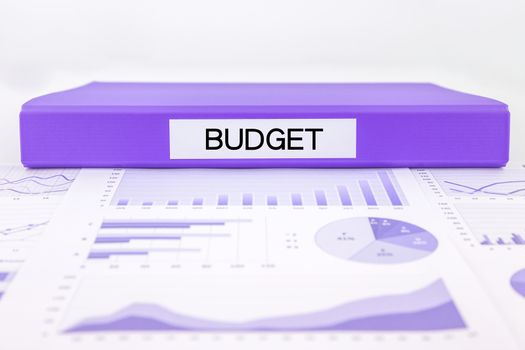 Purple document binder with budget word place on graphs and charts of financial plan