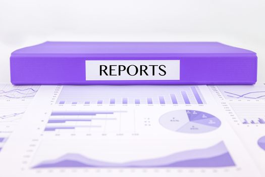 Purple document binder with reports word place on graphs, charts and data analysis of assessment and evaluation reports