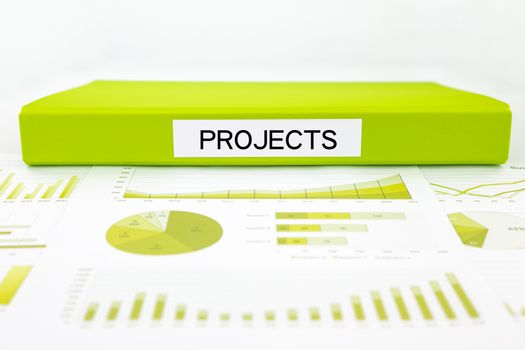 Green document binder with projects word place on graphs and charts of business plan