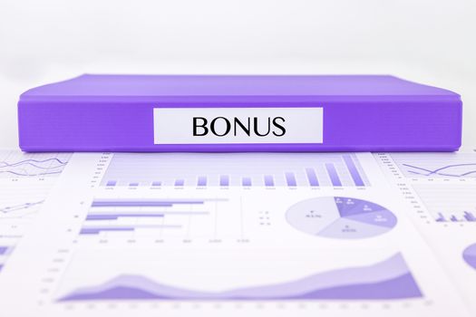 Purple document binder with BONUS word place on graphs analysis and financial reports