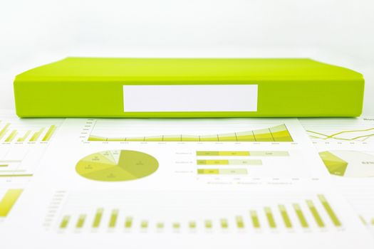 Blank label of green document file with chart, analytic graph and educational reports