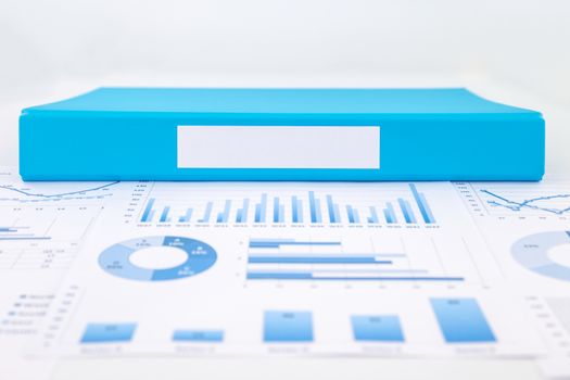 Blank label of blue document file with chart, analytic graph and business reports