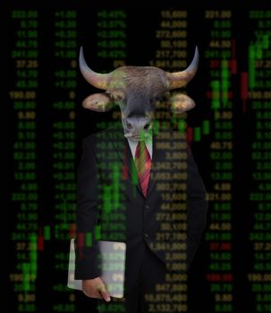 business man with bull head in tock investment concept