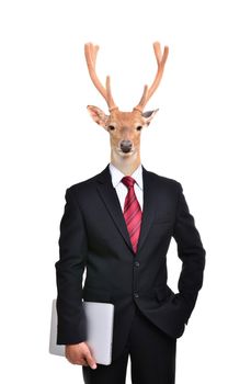 business man with deer head isolated on white background