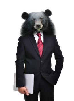business man with bear head isolated on white background
