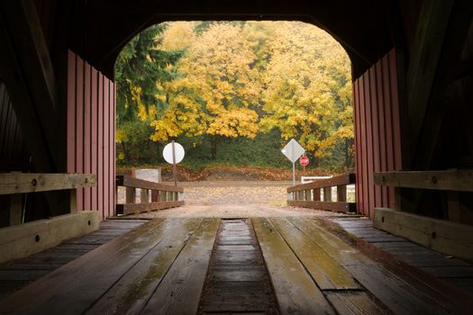 Wood planks lead out to the two lane highway