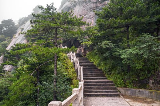 Mountain stairs path into forest, Huangshan, China