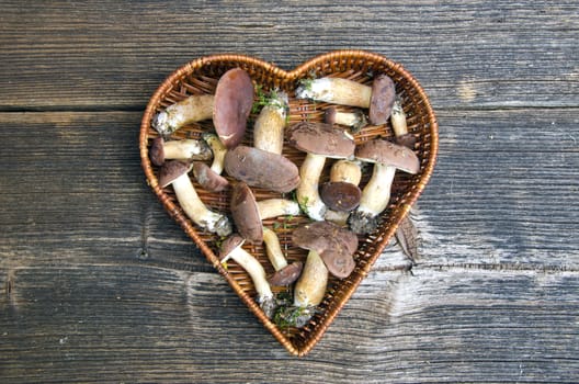 mushrooms fungi cep boletus Xerocomus badius in heart form basket on old wooden table