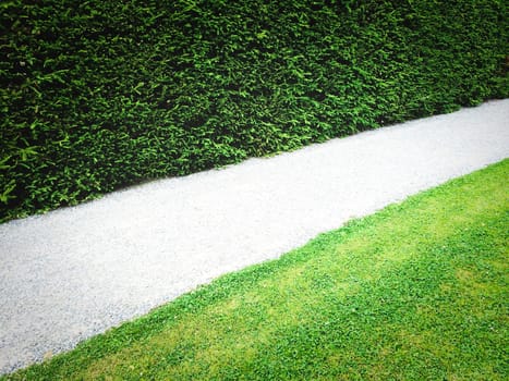 Path between green hedge and grass lawn.