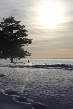 Landscape with the beginning of the sunset on the Gulf of Finland with trees